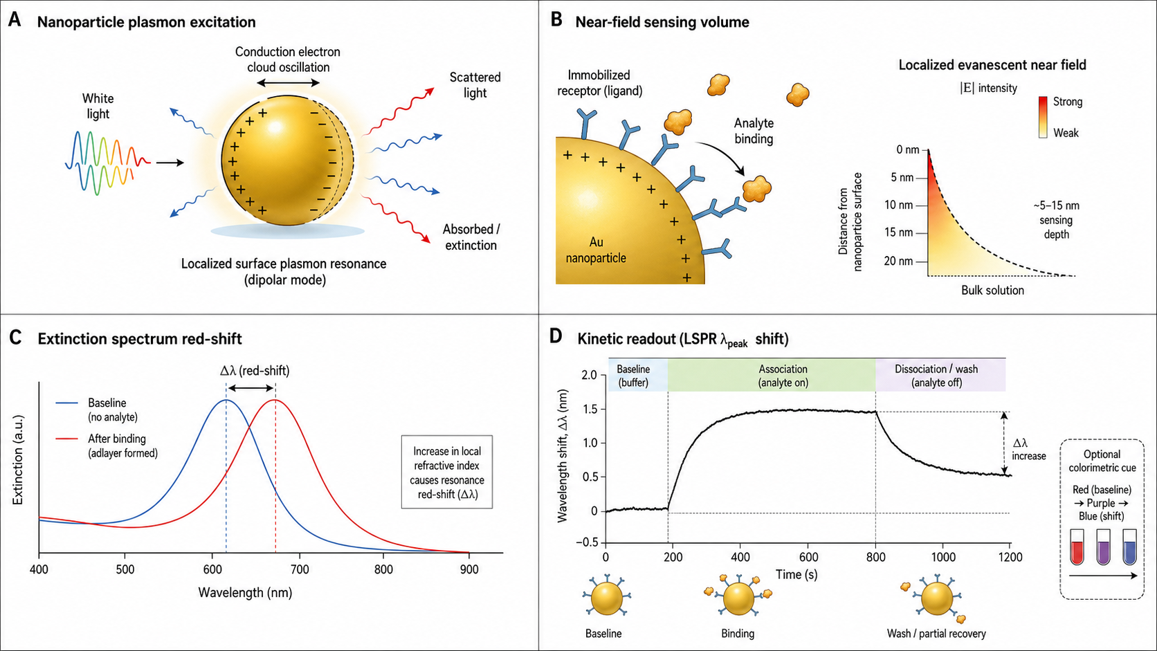 Figure 1 schematic explaining localized surface plasmon resonance: nanoparticle plasmon excitation, near-field sensing around a gold nanoparticle, extinction spectrum red-shift after binding, and kinetic wavelength-shift readout